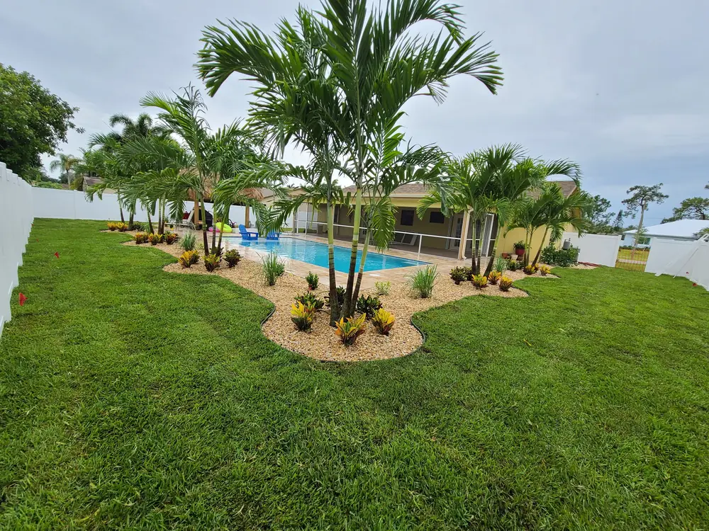 Same yard after sod, beds and palms installed