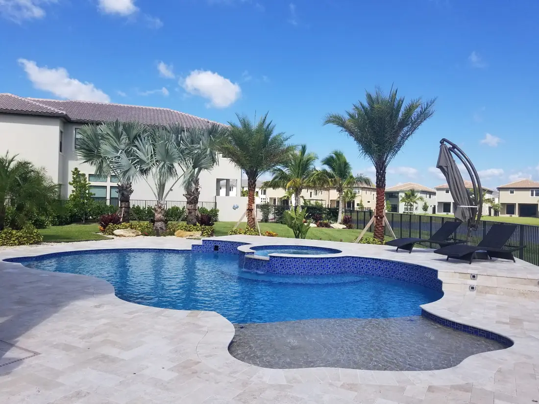 Freeform pool with raised spa and specimen palms